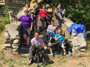 Lire la suite à propos de l’article 1 Colo Canissimo ! 13-16 août 2026, Luc (Lozère)