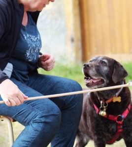 Lire la suite à propos de l’article 5- Happy papy, 24-25 mai 2026, Melay (71)